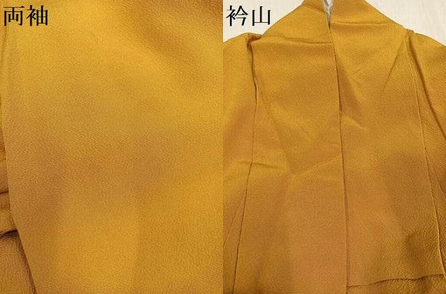 平和屋着物●豪華振袖　駒刺繍　花蝶丸文　正絹　逸品　AABI0536ph