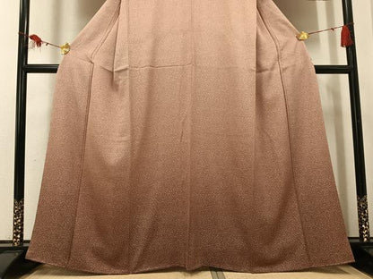 平和屋着物●江戸小紋　訪問着　吉祥文　正絹　逸品　AABI0550ph