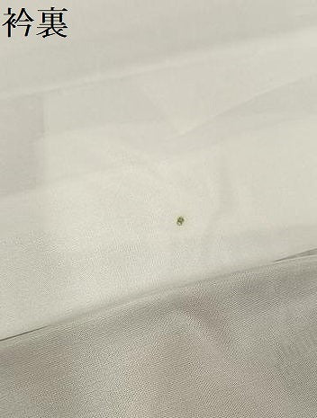 平和屋着物●本場大島紬　草花文　やまと誂製　正絹　逸品　AABI0564ph