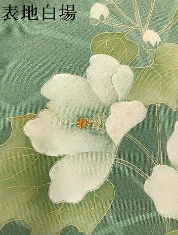 平和屋着物●訪問着　草花文　暈し染め　金彩　正絹　逸品　AABI0600ph