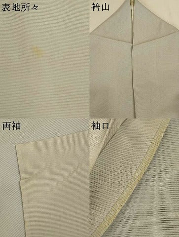 平和屋着物＊夏物 訪問着 絽 手描き 草花文 暈し染め 正絹 逸品 AABI0632jd