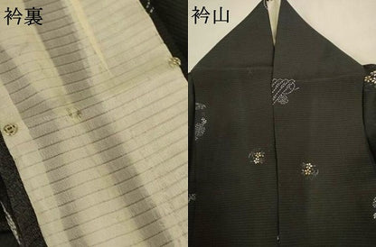平和屋着物＊夏物　小紋　絽　花丸文　黒地　正絹　逸品　AABI0639jd