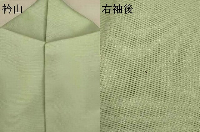 平和屋着物＊夏物 訪問着 絽 流水花鳥文 正絹 逸品 AABI0640jd