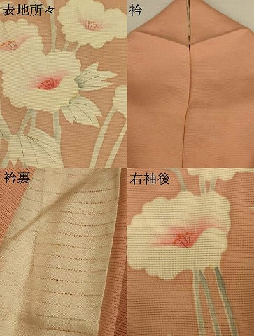 平和屋着物＊夏物 訪問着 絽 枝花文 正絹 逸品 AABI0666jd