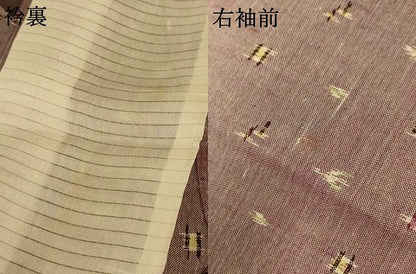 平和屋着物＊夏物 紗紬 琉球絣文様 正絹 逸品 AABI0671jd