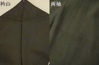 平和屋着物＊夏物 訪問着 絽 花格子 黒地 正絹 逸品 AABI0681jd