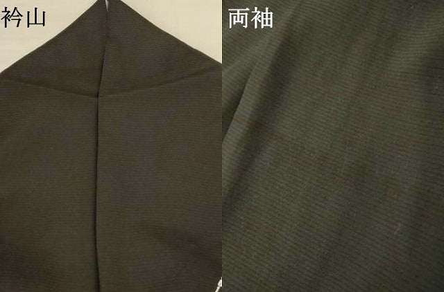 平和屋着物＊夏物 訪問着 絽 花格子 黒地 正絹 逸品 AABI0681jd
