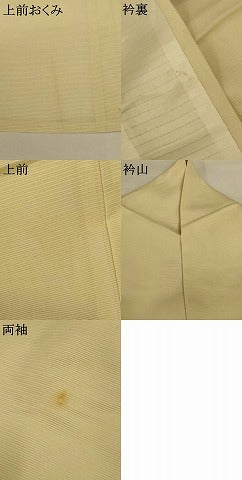 平和屋着物＊夏物 訪問着 絽 手描き 草花文 銀彩 正絹 逸品 AABI0689jd