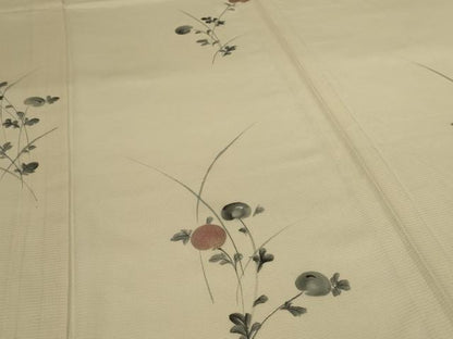 平和屋着物＊夏物 訪問着 絽 手描き 草花文 銀彩 正絹 逸品 AABI0689jd