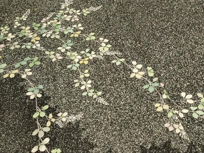 平和屋着物＊夏物 訪問着 絽 草花文 たたき染め 銀彩 三越扱い 正絹 逸品 AABI0690jd