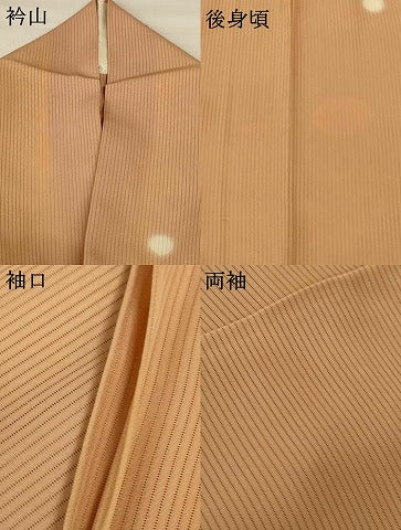 平和屋着物＊夏物 小紋 縦絽 丸文 青山みとも 正絹 逸品 AABI0714jd