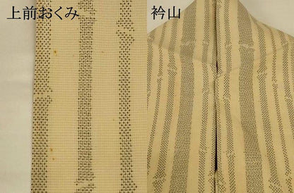 平和屋着物＊夏物 本場大島紬 夏大島 150亀甲 変わり縞 正絹 逸品 AABI0720jd