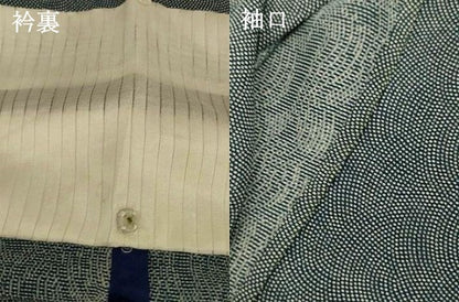 平和屋着物＊夏物 江戸小紋 絽 鮫小紋柄 正絹 逸品 AABI0728jd