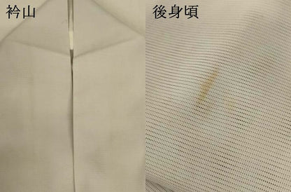 平和屋着物＊夏物 訪問着 絽 樹林文 洗える着物 AABI0748jd