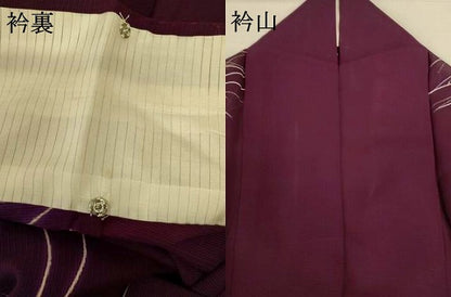 平和屋着物＊夏物 訪問着 絽 夏虫 正絹 逸品 AABI0755jd