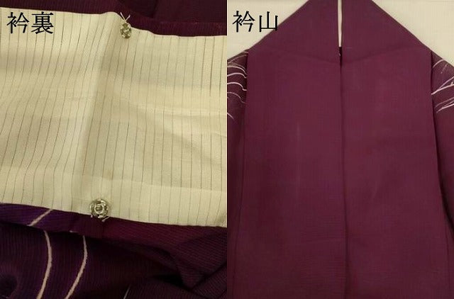 平和屋着物＊夏物 訪問着 絽 夏虫 正絹 逸品 AABI0755jd