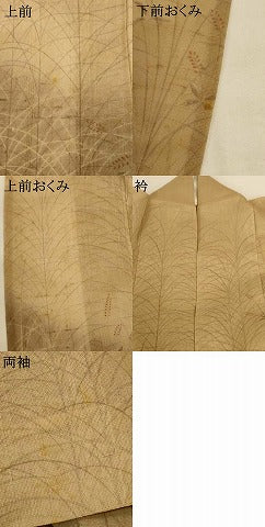 平和屋着物＊夏物 生紬 訪問着 草花文 暈し染め 正絹 逸品 AABI0759jd