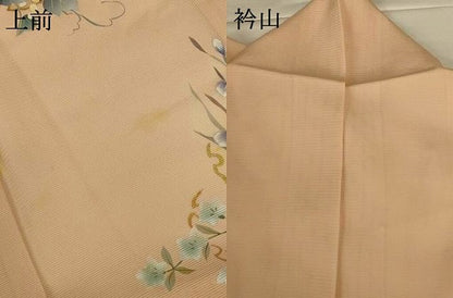 平和屋着物＊夏物 訪問着 絽 手描き 雪輪草花文 金銀彩 正絹 逸品 AABI0760jd