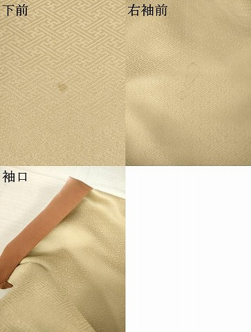 平和屋着物●訪問着　地紙花文　金彩　ロング丈　正絹　逸品　AABI0820ck
