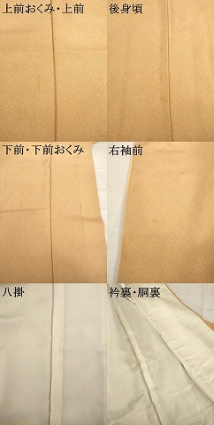 平和屋着物●江戸小紋　縦分銅　正絹　逸品　AABI0829ck