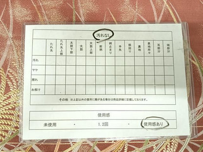 平和屋着物◎六通柄袋帯　唐織　芝草文　金銀糸　正絹　逸品　AABI1101yx