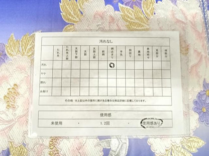 平和屋着物◎六通柄袋帯　唐織　花車文　金銀糸　正絹　逸品　AABI1132yx