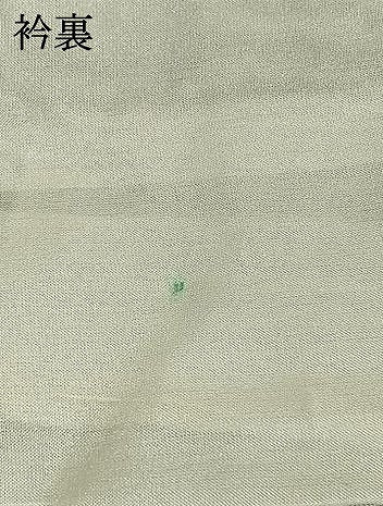 平和屋着物●小千谷紬　枝花文　黒地　正絹　逸品　AABI1221fy