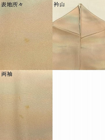 平和屋着物●上質な小紋　作家物　霞文　ロング丈　正絹　逸品　AABI1246fy
