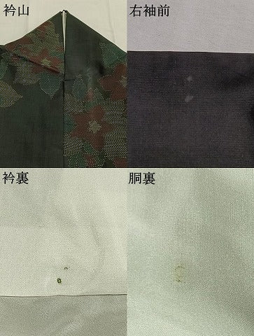 平和屋着物●本場大島紬　草花文　黒地　正絹　逸品　AABI1249fy