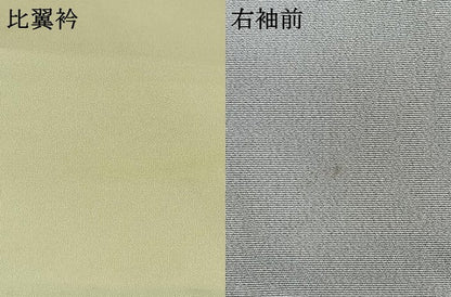 平和屋着物●本加賀友禅作家　百貫華峰　色留袖　紫陽花　アジサイ　暈し染め　正絹　逸品　AABI1264fy