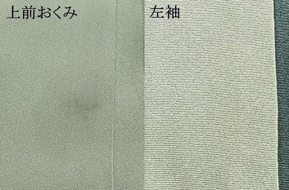 平和屋着物●訪問着　友禅　作家物　草花文　暈し染め　ロング丈　正絹　逸品　AABI1290fy