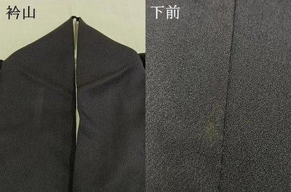 平和屋着物●染色作家　草野一騎　訪問着　露芝文　暈し染め　金彩　正絹　逸品　AABI1292fy