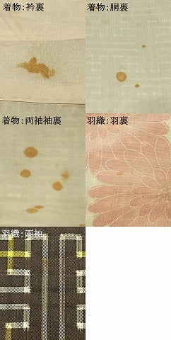平和屋着物●本場大島紬　龍郷絣　秋名バラ　アンサンブル　反端付き　正絹　逸品　AABI1301fy