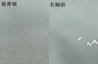 平和屋着物●訪問着　友禅　作家物　草花文　正絹　逸品　AABI1311fy