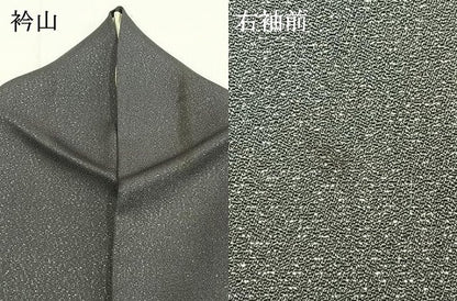 平和屋着物●訪問着　花鳥文　暈し染め　銀彩　銀通し地　正絹　逸品　AABI1339fy