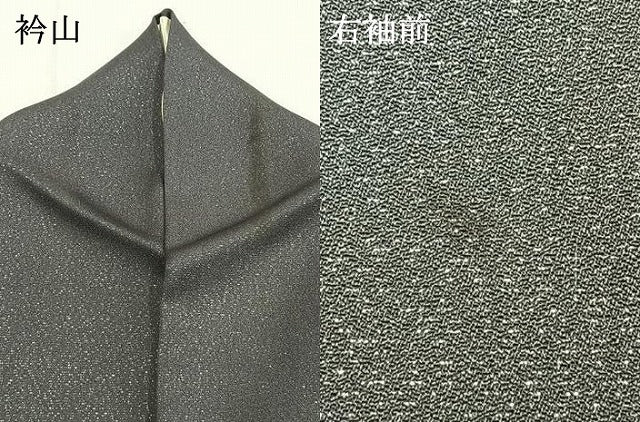 平和屋着物●訪問着　花鳥文　暈し染め　銀彩　銀通し地　正絹　逸品　AABI1339fy