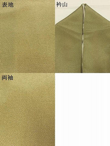 平和屋着物●江戸小紋　鮫小紋柄　鬼しぼ縮緬　正絹　逸品　AABI1418fy
