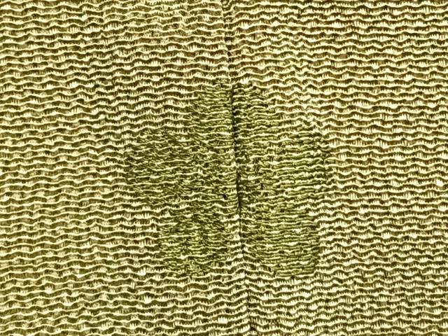 平和屋着物●江戸小紋　鮫小紋柄　鬼しぼ縮緬　正絹　逸品　AABI1418fy