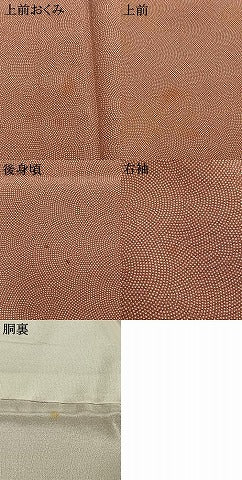 平和屋着物●江戸小紋　鮫小紋柄　正絹　逸品　AABI1458fy