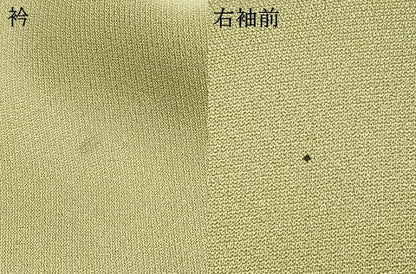 平和屋着物●訪問着　樹林文　金彩　正絹　逸品　AABI1478fy