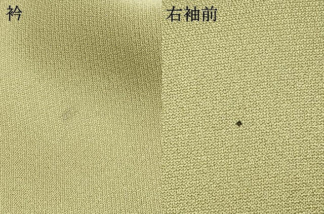 平和屋着物●訪問着　樹林文　金彩　正絹　逸品　AABI1478fy