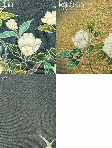 平和屋着物●訪問着　枝花文　暈し染め　金彩　正絹　逸品　AABI1480fy