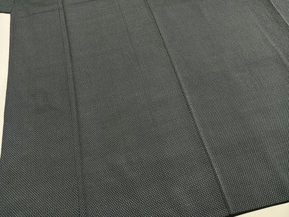 平和屋着物●男性　お召　蚊絣　正絹　逸品　AABI1496fy