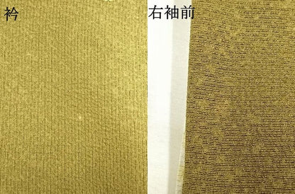 平和屋着物●世界的友禅作家　千地泰弘　小紋　葡萄蔦の葉文　暈し染め　金彩　ロング丈　正絹　逸品　AABI1532fy