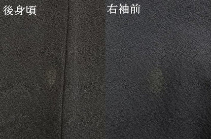 平和屋着物●世界的人形師　辻村寿三郎　ジュサブロー　訪問着　舞桜文　金彩　正絹　逸品　AABI1577fy