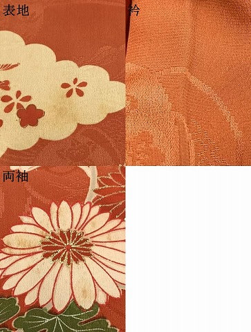 平和屋着物●アンティーク　大正ロマン　訪問着　刺繍　雲取り冊子花文　金彩　正絹　逸品　AABI1631fy