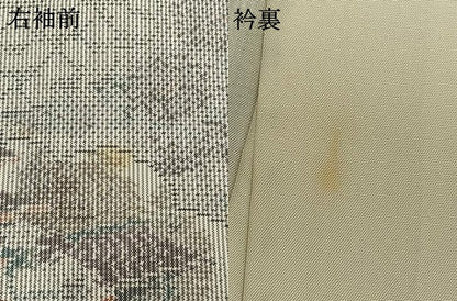 平和屋着物●本場大島紬　白大島　一元7マルキ　雲取り風景文　正絹　逸品　AABI1677fy