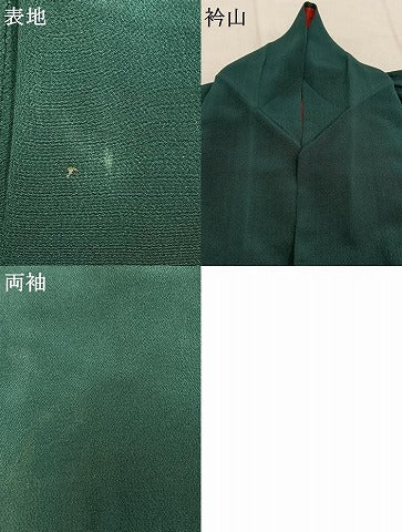 平和屋着物●アンティーク　大正ロマン　色留袖　刺繍　御所車花文　暈し染め　金糸　両褄　江戸褄　正絹　逸品　AABI1702fy