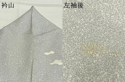 平和屋着物●染織工芸作家　京手描友禅　田村信之　訪問着　網干　正絹　逸品　AABI1718fy
