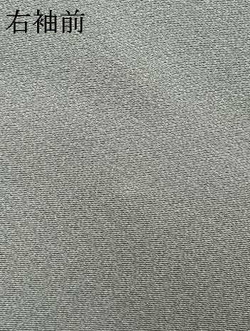平和屋着物●訪問着　友禅　草花文　暈し染め　金銀彩　正絹　逸品　AABI1733fy